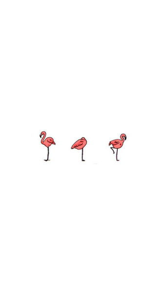 Wallpaper Flamingo Pink Tumblr