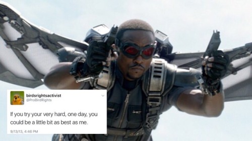 bert-and-ernie-are-gay:Sam Wilson x @ ProBirdRights...