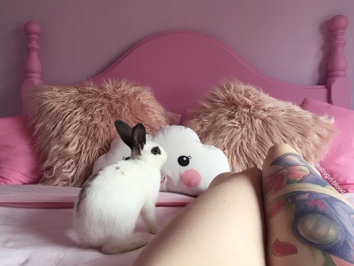 babygirl-blood:Lazy days with my little Luna-bun 