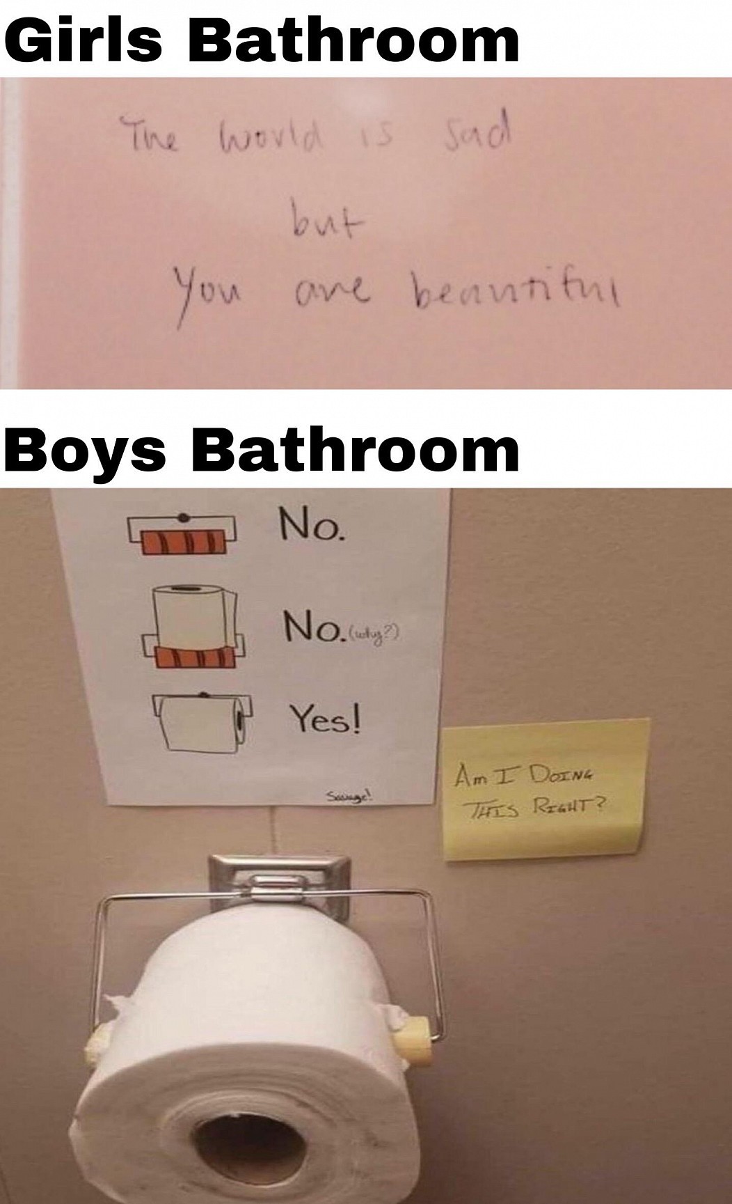 Boys Vs Girls Bathrooms Meme