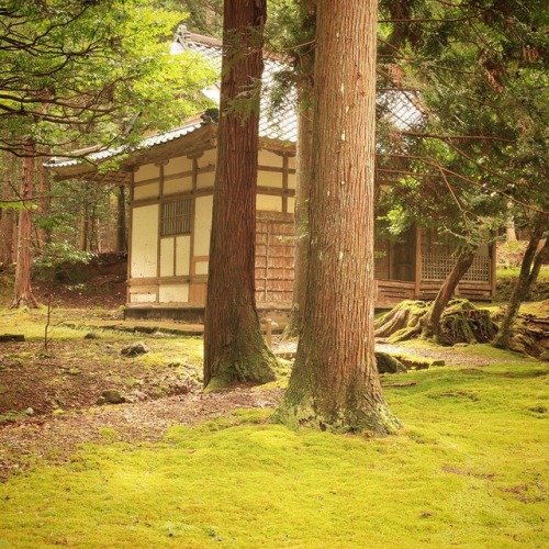 art-kyoto-jp:No.657 at Wakasahiko Shrine, Obama City, Fukui,...