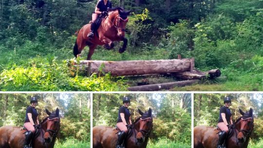 CAV Rassen die Leser reiten Leserfotos Chrissi Häublein