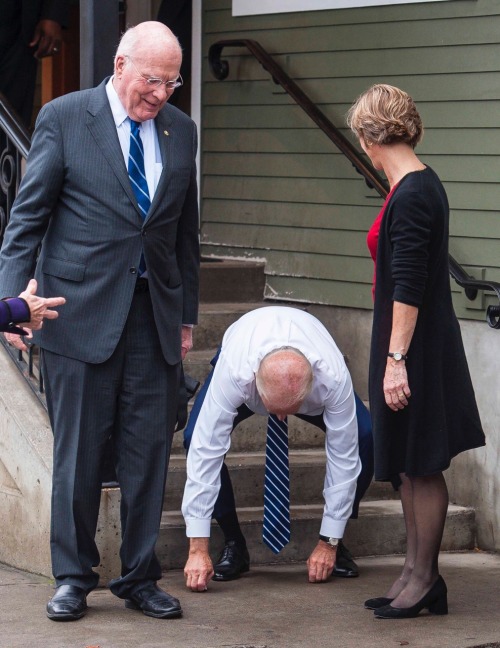 donutmongoose:gayerthangrantaire:its the cash Biden reblog in...