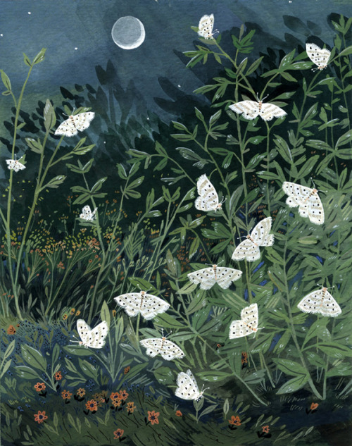 wasbella102:Moon Moths by Becca Stadtlander