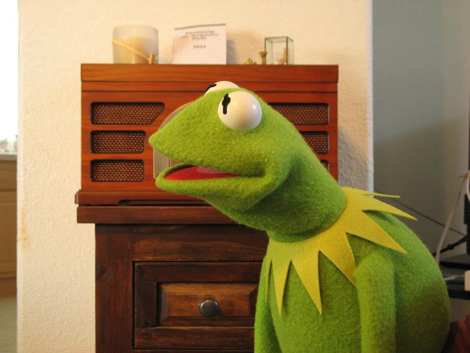 best kermit puppet