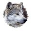 wolfsharingan15's Asian fanfic profile