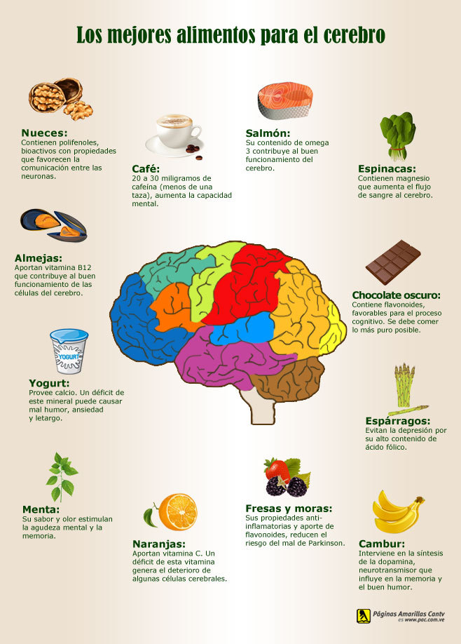 Tu Gimnasia Cerebral — Los Mejores Alimentos Para El Cerebro Son Las 9388