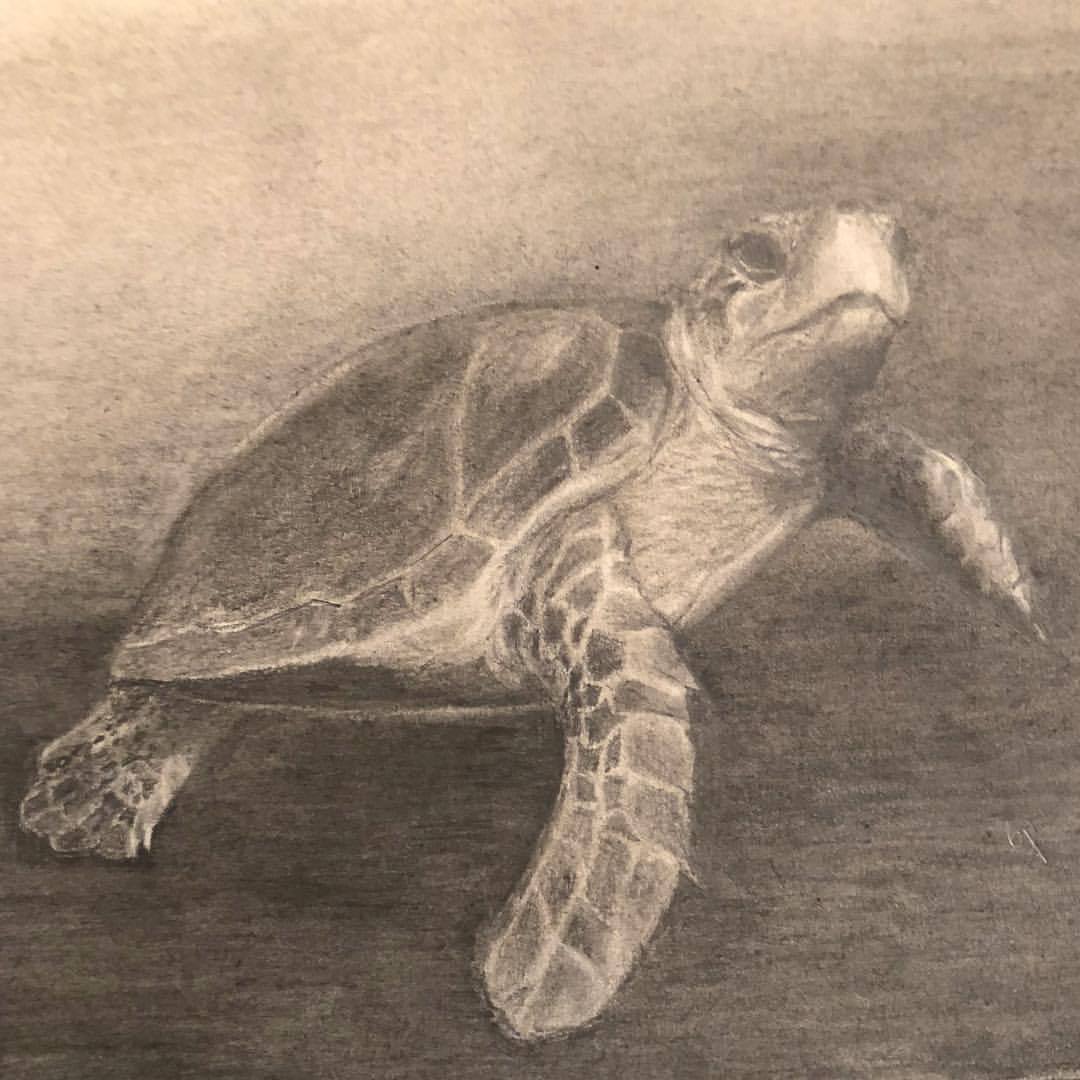 Artpostrophe — Finished my second sea turtle tonight....