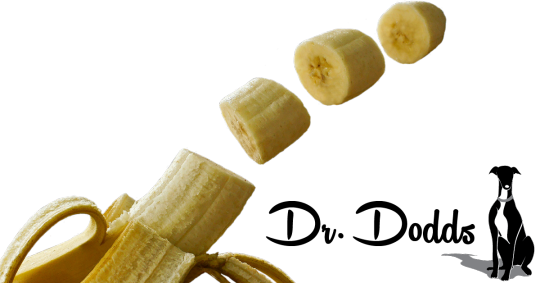 Green Bananas vs. Ripe Bananas for Dogs and Horses