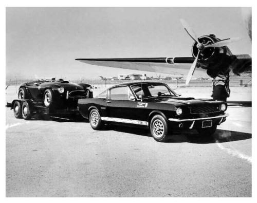 prova275:Shelby towing Shelby… 1966