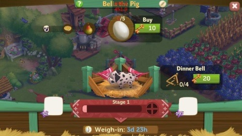 Español Mostrar Cerdos Zynga Zynga — Mostrar Español Cerdos Zynga — Mostrar Español — KcFul31J5T