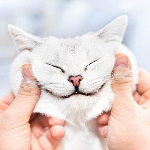 aww-so-pretty