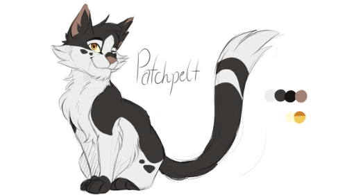 patchpelt patch thunderclan tc warriors warriorcats