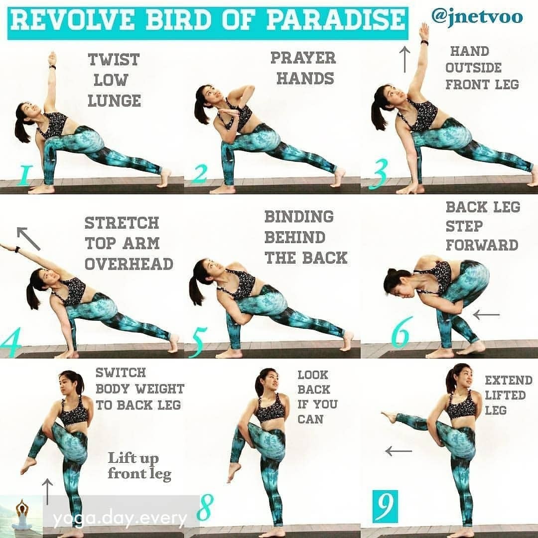Bird Of Paradise Yoga Flow Yogawalls