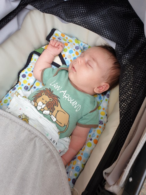 inberlinbaby