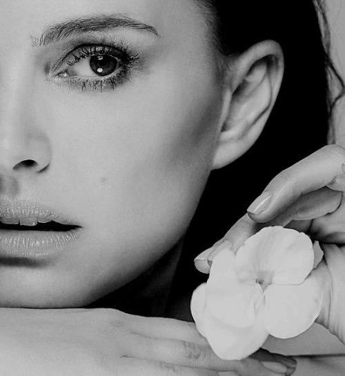 dailynatalieportman