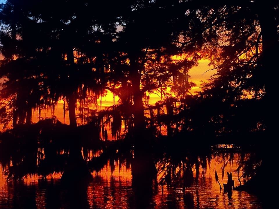 Paul Ingram, Lake Bruin Sunset, Tensas, Louisiana,... - Memory's Landscape