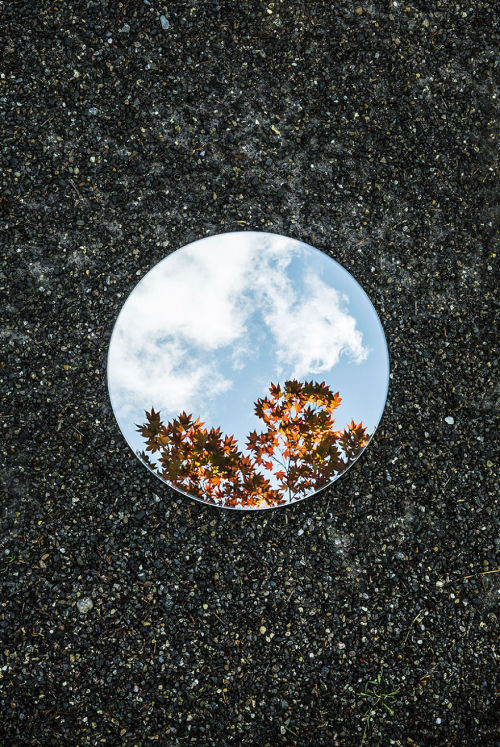 jedavu:Symmetry And Silence In Round Mirror Reflections by...