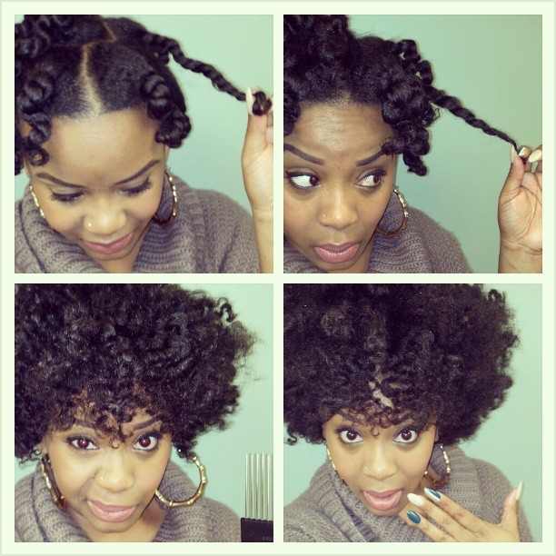 Yolanda Renee Et Cetera My Hair Today Two Stand Twist Bantu