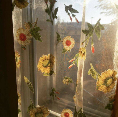 fall autumn moodboard mori mori girl nature naturecore grandmacore towncore cottagecore flowerscore cozy cozycore cold remember to stay warm my friends Halloween