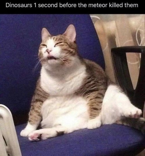 hilarioushumorfromouterspace