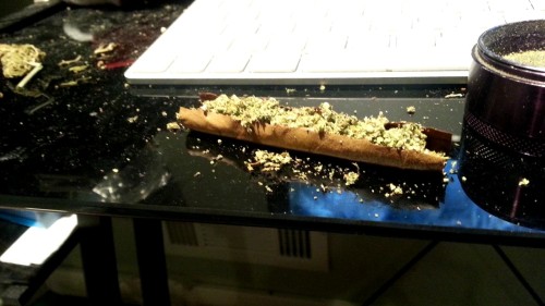 pukebrainz:Mini blunt anyone?