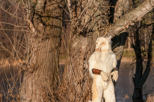 Kirin See’sha fullsuit are done Video about almost complete...