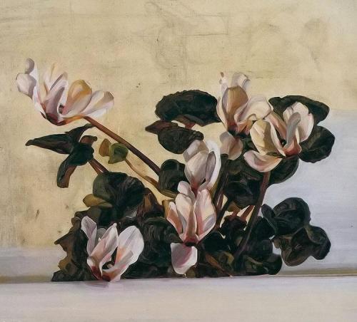 thee-gold-bug:Lucian Freud / Cyclamen / 1964