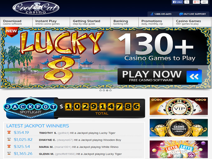 cool cat casino free spin code 2024
