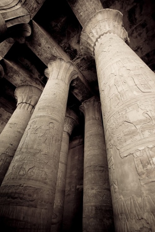 grandegyptianmuseum:Columns of the Hypostyle Hall, Temple of...