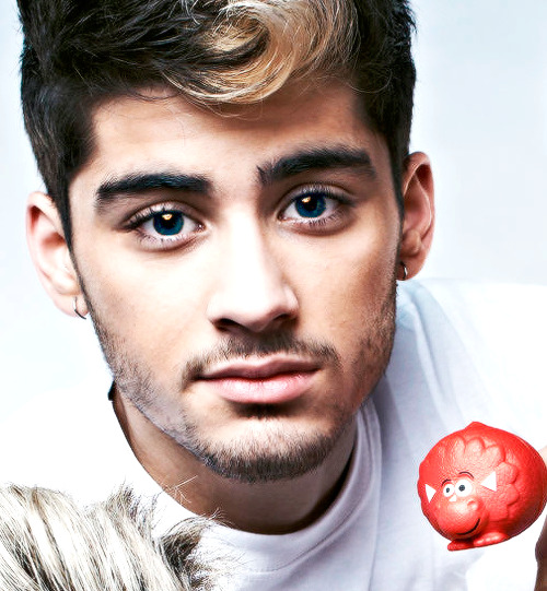 Zayn With Blue Eyes On Tumblr 