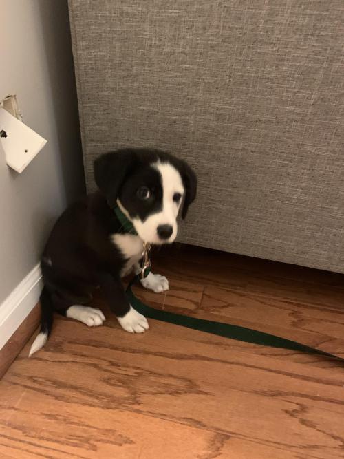 awwpics-org