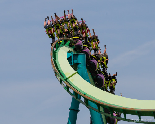 raptor roller coaster | Tumblr