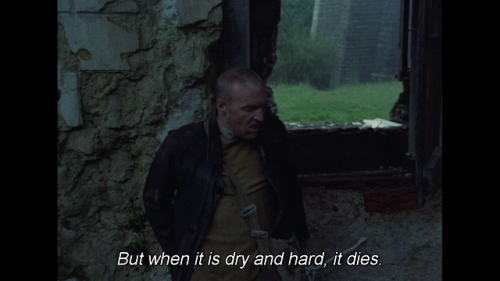 feelingsfrommoviesandseries:Stalker (1979)