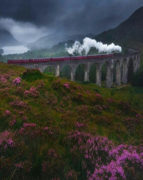 landscape-lunacy:Glenfinnan Viaduct, Scotland - by Nick Schmid