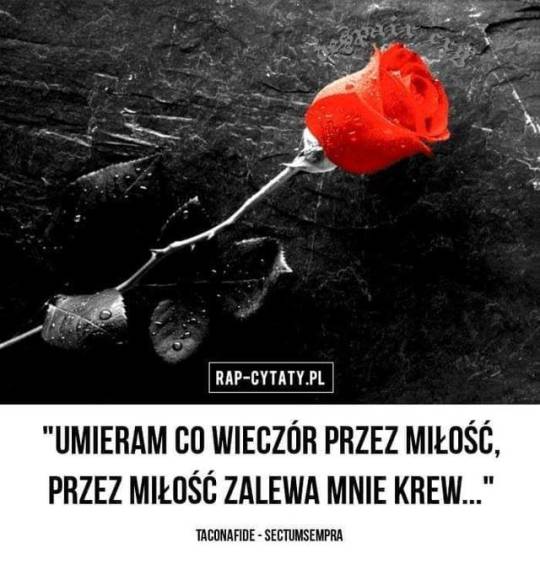 Ciebie Tumblr