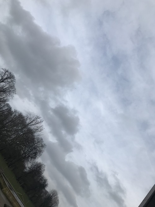 ozmiracle