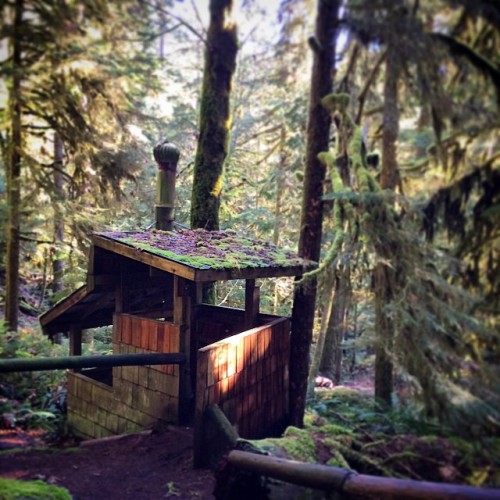 Already missing #oregon where even the outhouses are artisanal....