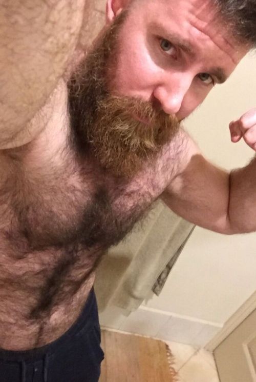 BACKFUR - Hairy/bear/horny/daddy