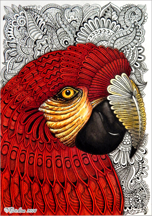 ZENTANGLE HOUSE — Zentangle stylized Parrot illustration. Gel pen,...