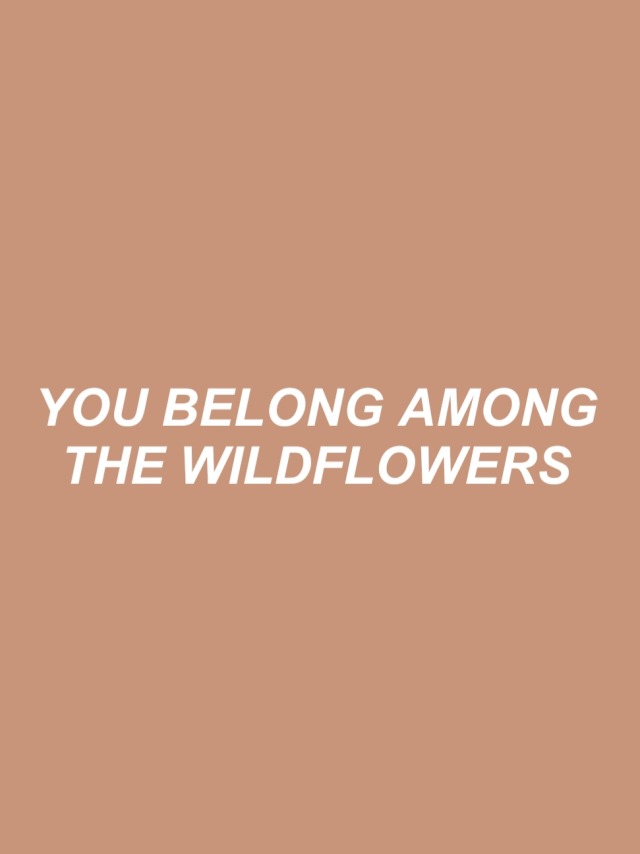 wildflower lyrics | Tumblr