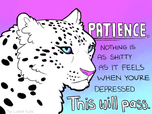 snow leopard on Tumblr