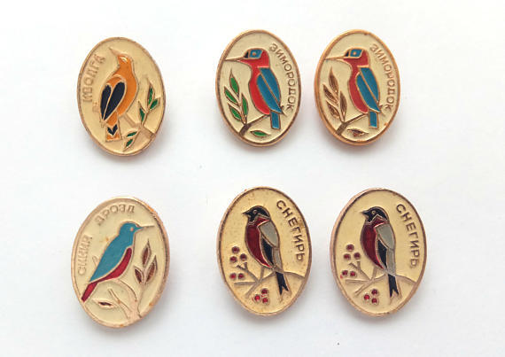 Vintage enamel pins of birds: oriole, kingfisher, blue thrush, bullfinch.
Choose and buy: http://etsy.me/2F9NffR