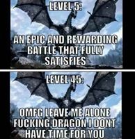 skyrim-memes:Dragons