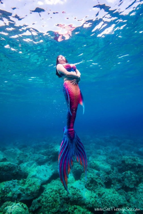 underwater photography on Tumblr