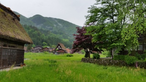 momga:Shirakawago. world heritage sight in Gifu.