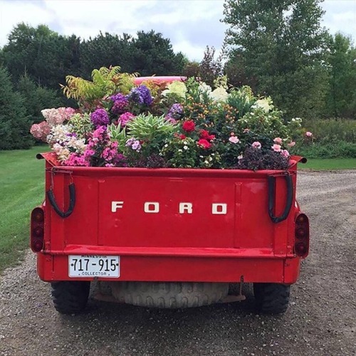 oldfarmhouse:https://www.instagram.com/countrylivingmag