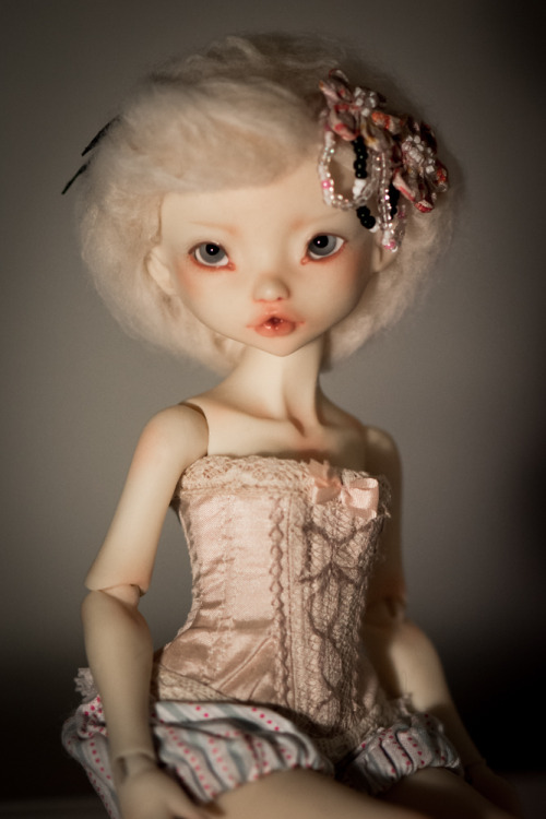 noble dolls bjd