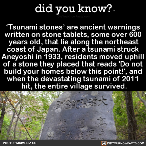 did-you-kno:‘Tsunami stones’ are ancient warnings written on...