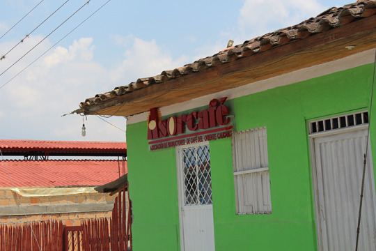 Asorcafe in Cauca, Colombia